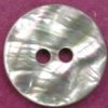 Silver-Fish Shell Buttons