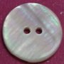River Shell (Freshwater Shell) Buttons