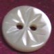 TROCHUS Shell Buttons